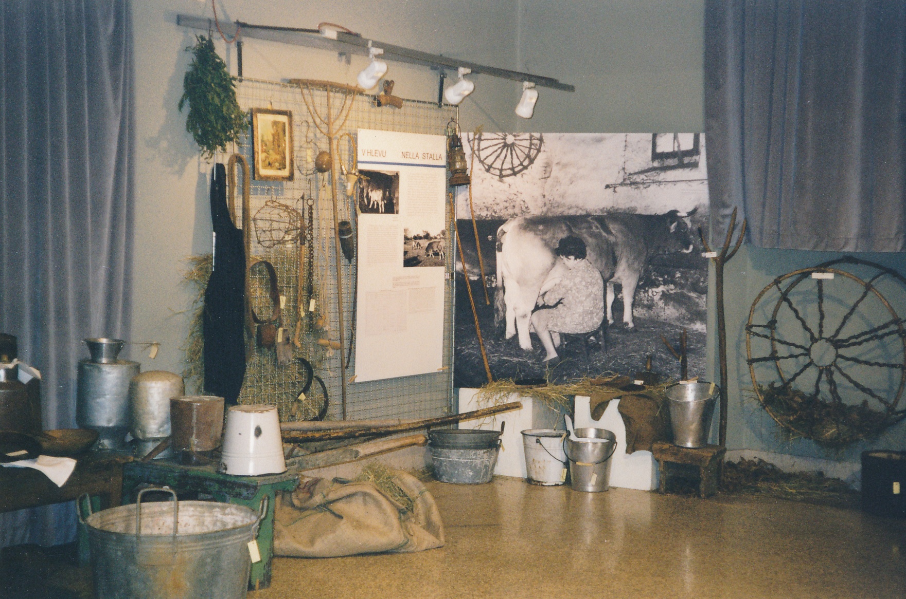 eika image